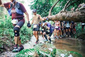 BIB: 
                            <button type="button" onclick="openModal(25470974)" class="btn btn-primary btn-sm float-right btn-popup" data-toggle="modal" data-target=".modal-high-quality">
                        <i class="fas fa-shopping-cart"></i> Add to Cart
                    </button>
                                            <button type="button" onclick="isThisMe(25470974, true)" class="btn btn-success btn-sm float-right btn-popup btn-isme hidden" data-toggle="tooltip" data-placement="bottom" title="นี่คือรูปของคุณใช่ไหม คลิกที่นี่เพื่อเอาเข้าอัลบั้ม">
                        <i class="fas fa-plus"></i> Add to album
                    </button>
                    <button type="button" onclick="isThisMe(25470974, false)" class="btn btn-warning btn-sm float-right btn-popup btn-isnotme hidden">
                        <i class="fas fa-ban"></i> Remove from album
                    </button>